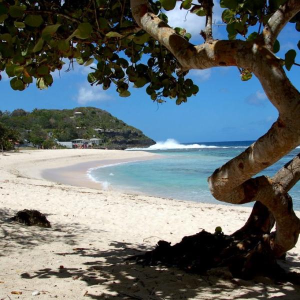 anse laborde