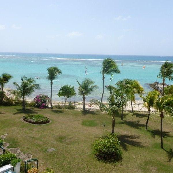 P1000414 (1)