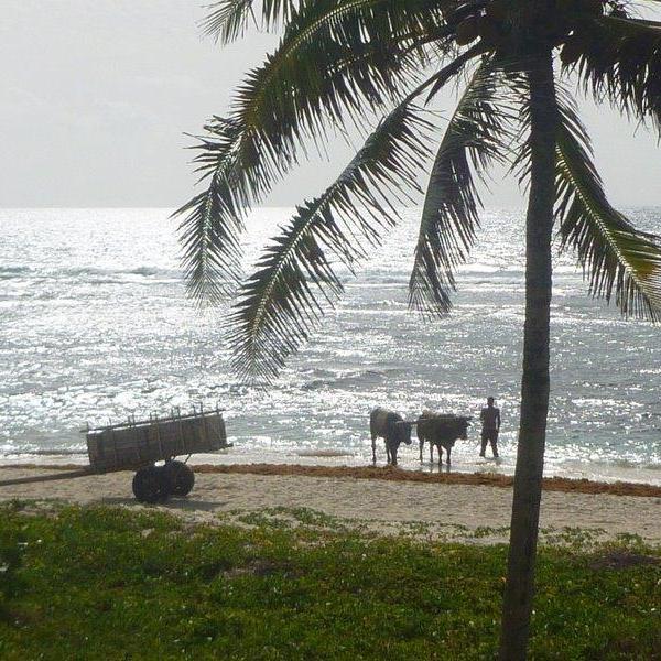P1000501