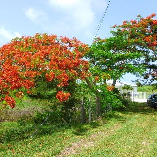 P1020078